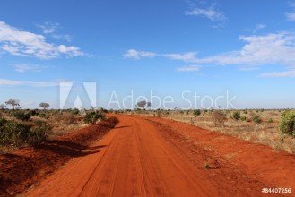 Bild på Weg durch die Savanne in Kenia Tsavo-East